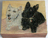 two scotties